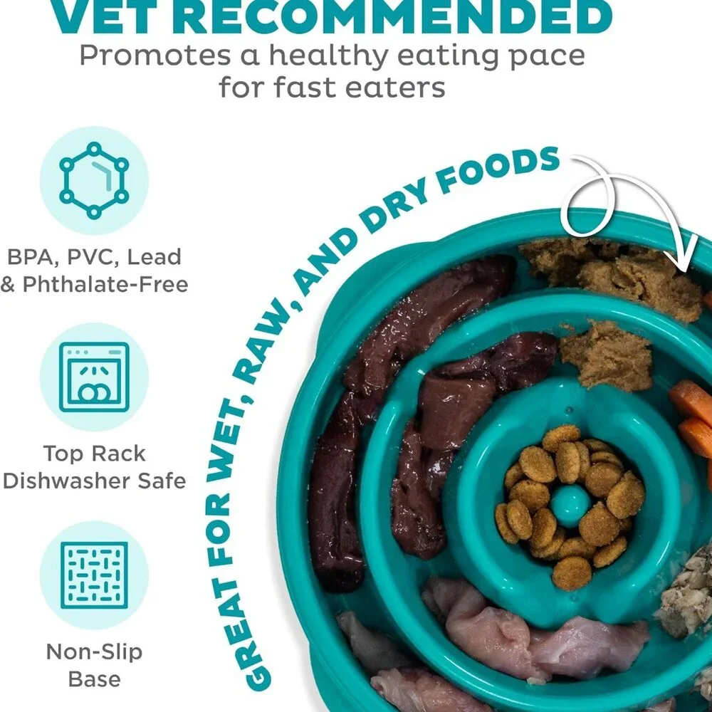 Outward Hound Fun Feeder Slo Bowl, Slow Feeder Dog Bowl, Medium/Mini, Turquoise